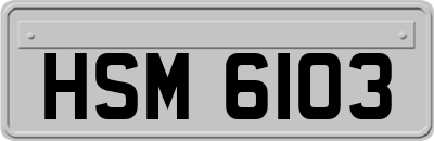 HSM6103