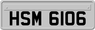 HSM6106