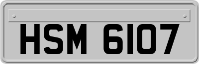HSM6107