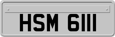 HSM6111