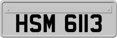 HSM6113