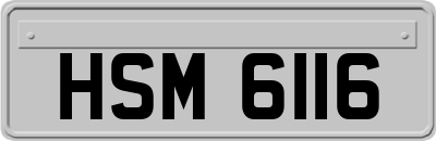 HSM6116