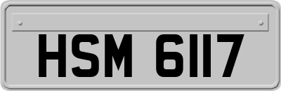 HSM6117