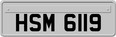 HSM6119