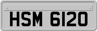 HSM6120
