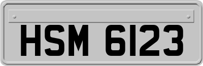 HSM6123