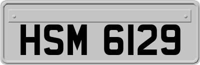 HSM6129