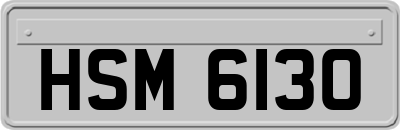 HSM6130