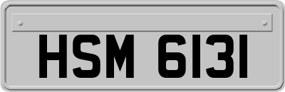 HSM6131