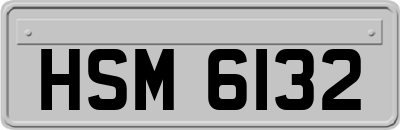 HSM6132
