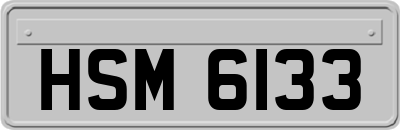 HSM6133
