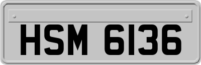 HSM6136