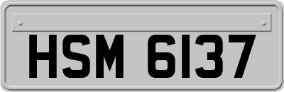 HSM6137