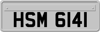 HSM6141