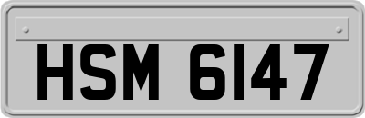 HSM6147