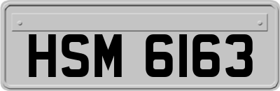 HSM6163