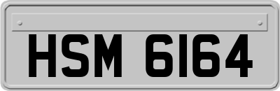 HSM6164