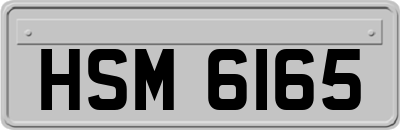HSM6165