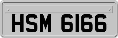 HSM6166