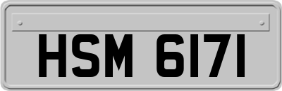HSM6171