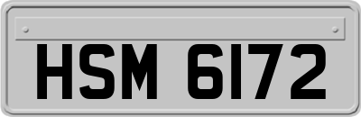 HSM6172