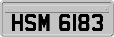 HSM6183