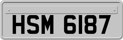 HSM6187