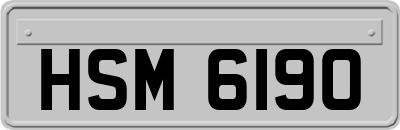 HSM6190