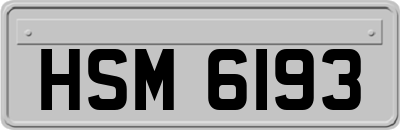 HSM6193