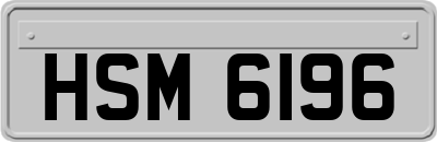 HSM6196