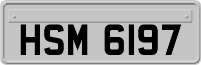 HSM6197
