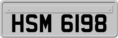 HSM6198