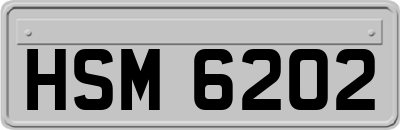 HSM6202