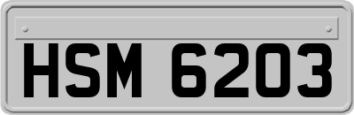 HSM6203