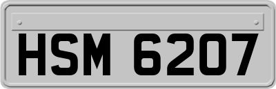 HSM6207