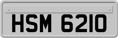 HSM6210