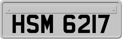 HSM6217