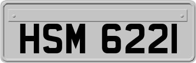 HSM6221