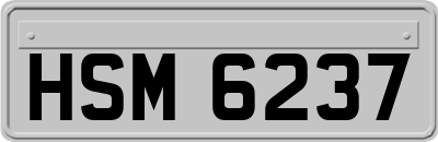 HSM6237