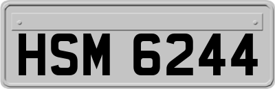 HSM6244