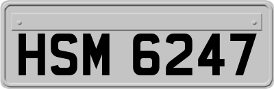 HSM6247