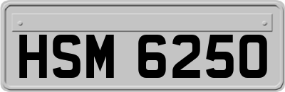 HSM6250