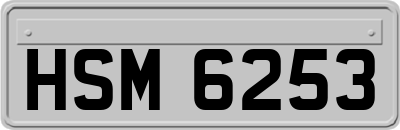 HSM6253