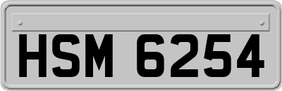 HSM6254