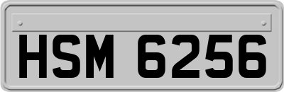 HSM6256