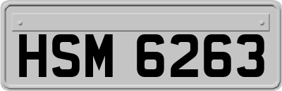 HSM6263