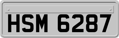 HSM6287