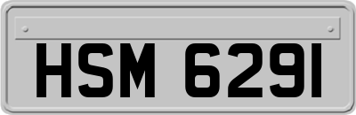 HSM6291