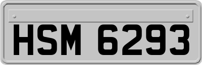 HSM6293