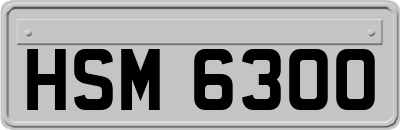 HSM6300